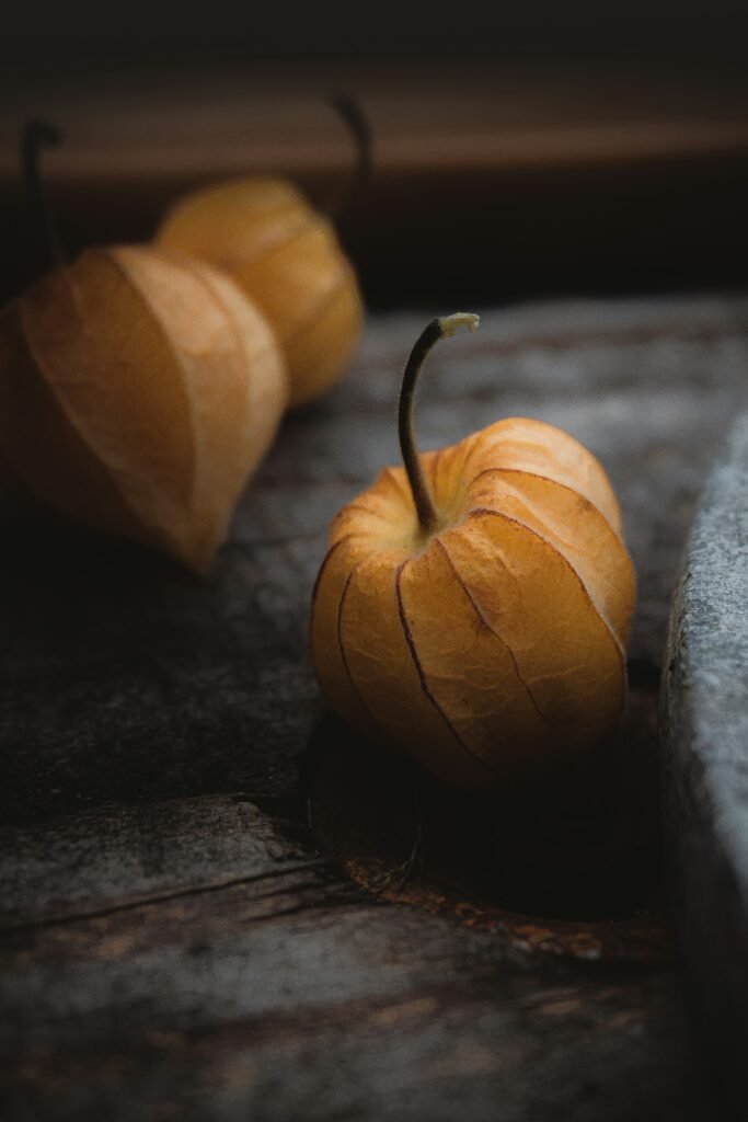 How Can You Make Healthy Family Meals On A Budget?