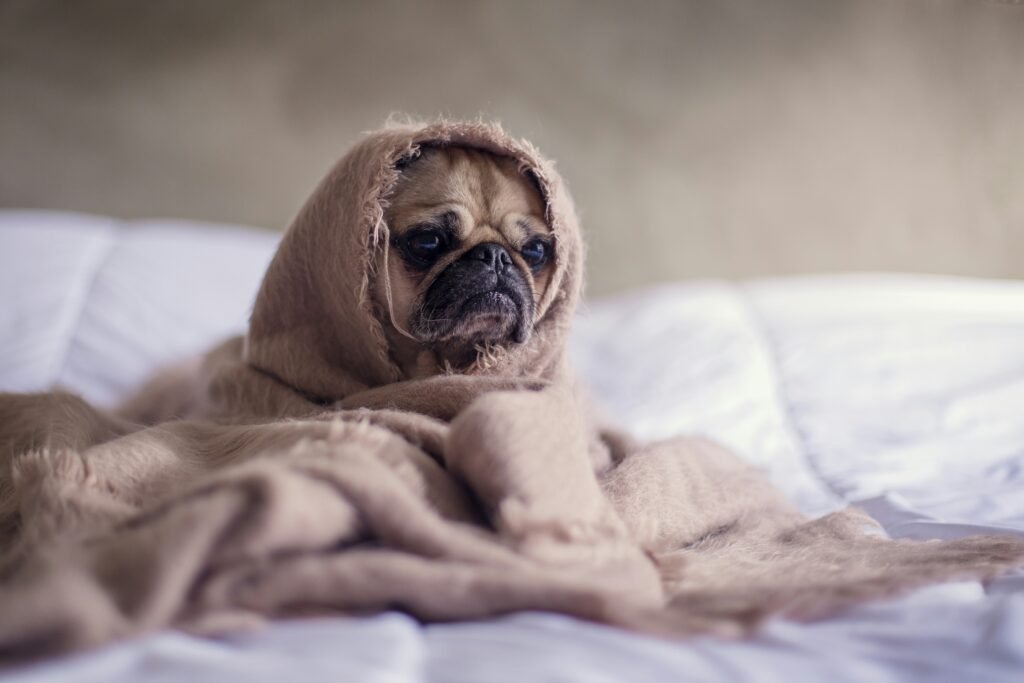 Why Sleep Is Important For Fitness