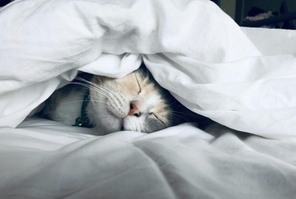 How Sleep Affects Your Fitness Level